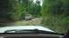 1989 Ford Bronco - 1989 Ford Bronco navigates a challenging rocky path in a wooded area.