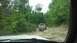 1989 Ford Bronco - A truck navigates a challenging off-road path surrounded by dense green foliage.