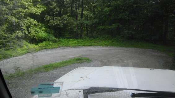 View from inside a vehicle driving on a winding dirt road through a forest