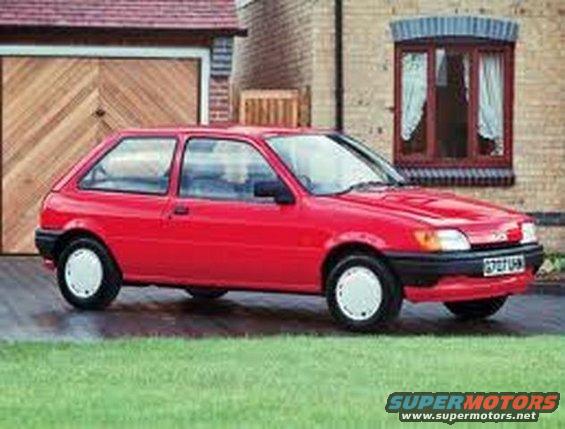 fiesta-640x480.jpg 