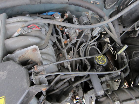 Engine bay with various hoses, wires, and an oil cap