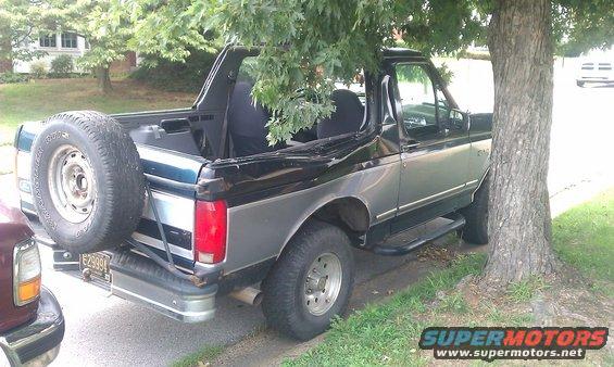 Ford Bronco parked by a tree, spare tire on back. Another vehicle is partially visible on the left