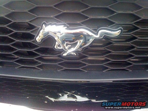 Chrome running horse emblem on a black honeycomb grille