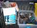 1978 Ford Bronco - Assorted vehicle parts are stored in a plastic bin and a cardboard box.