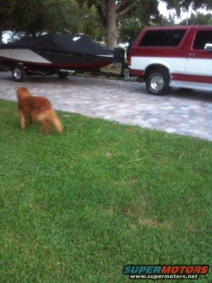 Red and white SUV towing a boat on a trailer, with a dog in the foreground