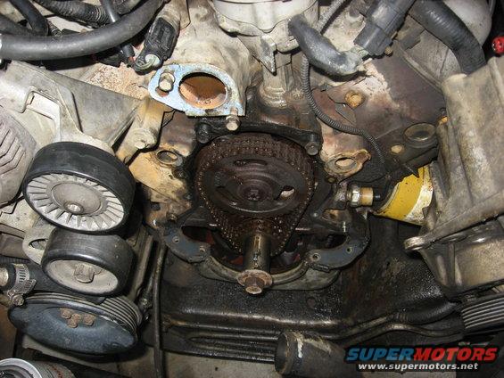 Engine timing chain and gears with oil filter visible