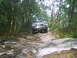 1988 Ford Bronco - A green SUV navigates a rough, unpaved path through a dense forest.