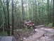 1988 Ford Bronco - A red off-road truck is seen on a challenging trail surrounded by dense forest.