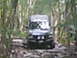 1988 Ford Bronco - An off-road SUV navigates a challenging path through a dense forest.