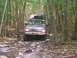 1988 Ford Bronco - A 1988 Ford Bronco navigates a challenging, rocky path through a dense forest during an off-road excursion.