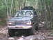 1988 Ford Bronco - This Ford Explorer is navigating a challenging off-road path through a dense forest.
