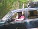 1988 Ford Bronco - A dark green SUV navigates a wooded path, its spare tire secured to the roof rack.