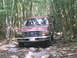 1988 Ford Bronco - A red SUV navigates a challenging, rocky path through a dense forest.