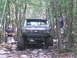 1988 Ford Bronco - Modified Ford truck navigating a rough, wooded path with two people present.