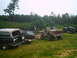 1988 Ford Bronco - A group of modified trucks and SUVs are gathered in a wooded, grassy area.