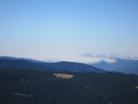 Mountain range with dark green forest in the foreground and a layer of clouds above distant peaks under a clear blue sky