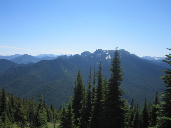 Mountain landscape with pine trees and snow-capped peaks under a clear blue sky