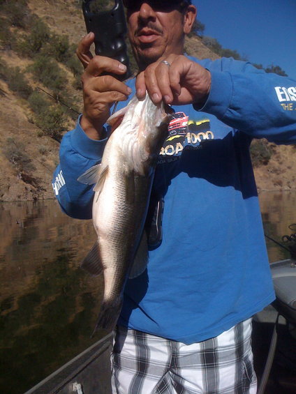 Man holding a large bass fish, weighing it on a scale