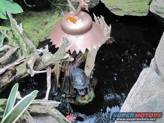 Turtle on a decorative structure above a pond with a butterfly on top