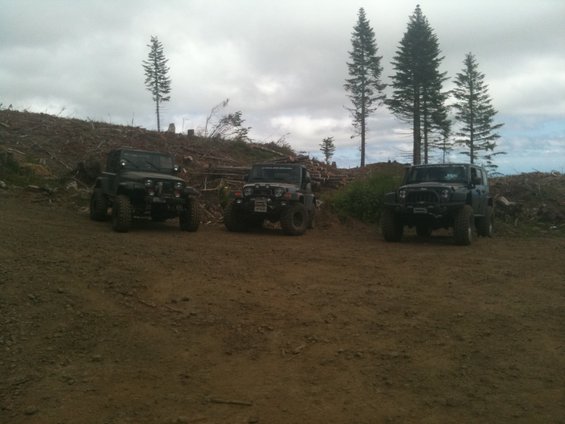 Three dark Jeep Wranglers parked on a dirt road with trees and logged hills in background