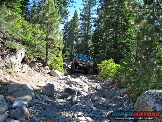Dark blue Ford Bronco driving on a rocky, wooded trail