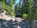 1986 Ford Bronco - A Ford Bronco navigates a challenging, rocky off-road path surrounded by dense forest.