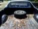 1979 Ford Ranchero - The bed of a 1979 Ford Ranchero contains a spare tire and is covered in leaves and pine needles, with another vehicle in the distance.