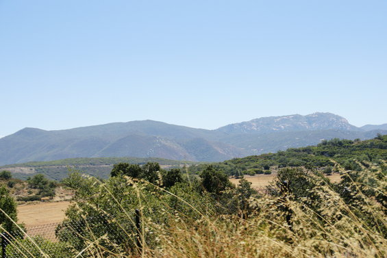 dsc03352.jpg 