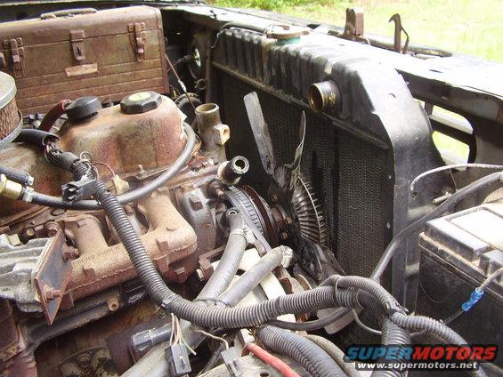 Engine bay with radiator and fan. Water pump pulley visible