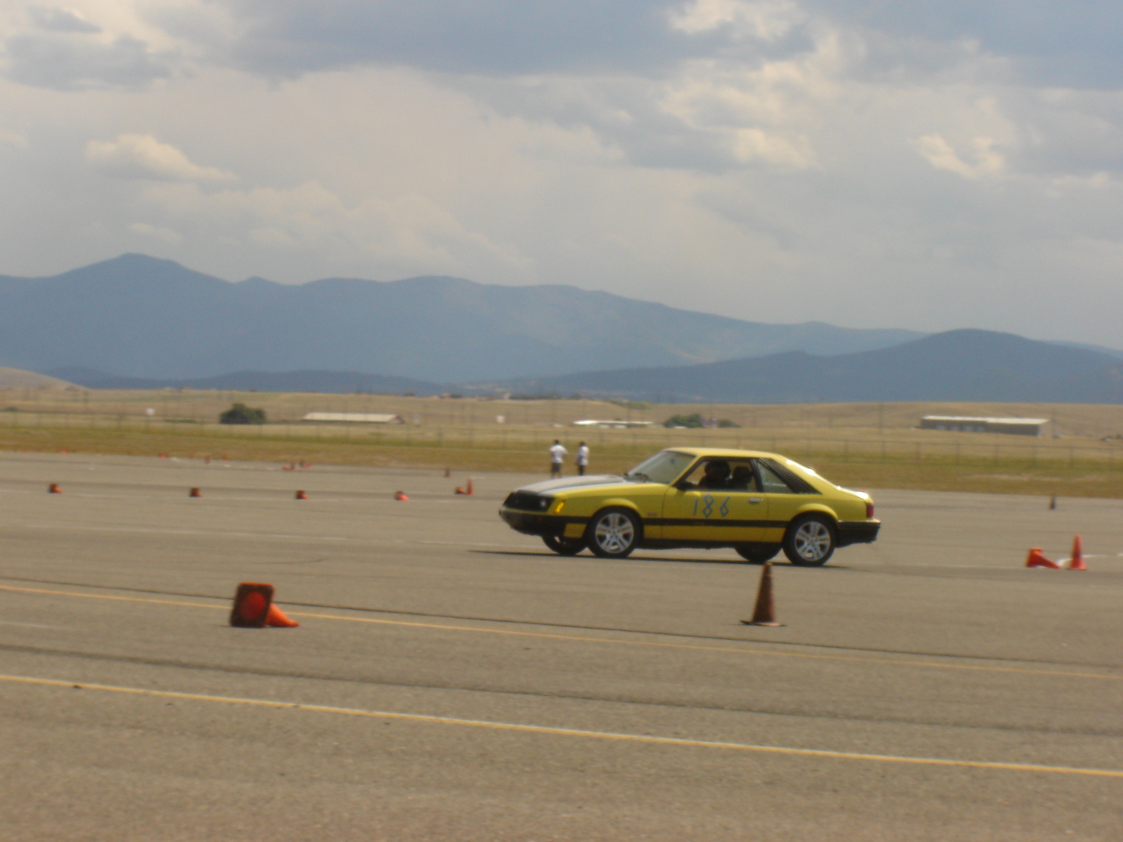 1979 Ford Mustang photo