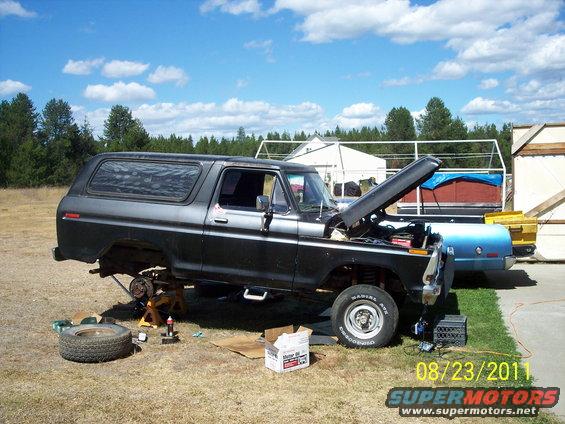 Black 1978 Ford Bronco with hood open, lifted on jack stands