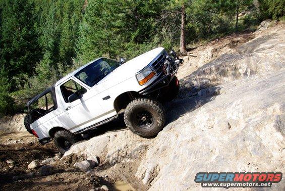 spring-creek_web_09.jpg 