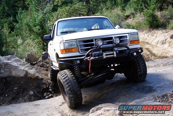 spring-creek_web_13.jpg