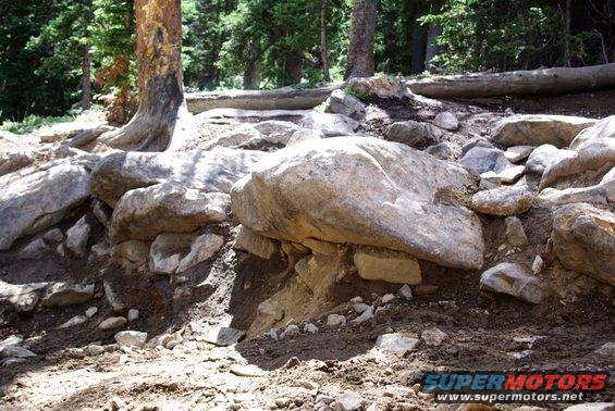 Rocky terrain with trees and a fallen log