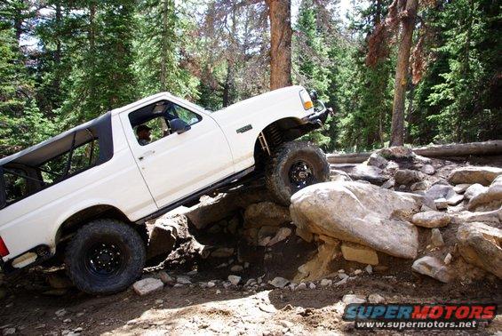 spring-creek_web_42.jpg