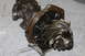 1979 Ford Bronco - Damaged differential gear assembly shown in detail.