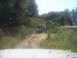 1989 Ford Bronco - Two off-road vehicles navigate a dirt path surrounded by lush greenery under a bright sky.