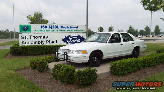 100_0202.jpg Tricky Vicky returns to her birth place