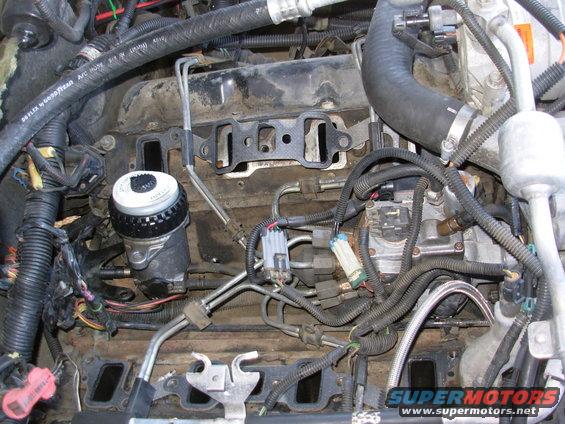 03valley.jpg The plenum & intake are surprisingly easy to remove, exposing the valley.  I'll move the FFM up a few inches to make filter changes easier, and so the fuel lines can be routed above the intake for easier maintenance.

Cover the intake ports on the heads so nothing can fall inside.  I was lucky.

Fuel filter is a Mann from [url=http://www.amazon.com/gp/product/B0027EVCEK/]Amazon[/url].