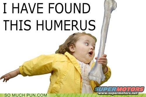 Child in yellow jacket holding a large bone, with text "I HAVE FOUND THIS HUMERUS" above