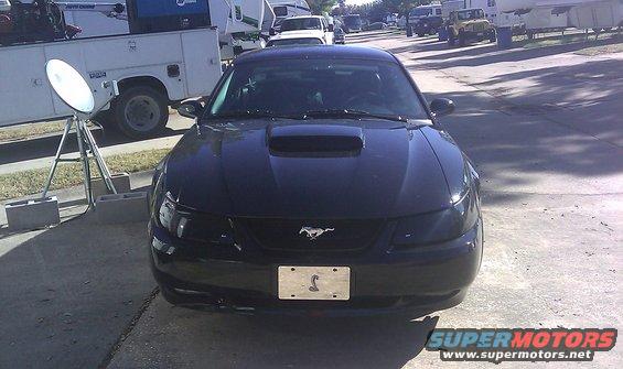 Black 2003 Ford Mustang with a hood scoop and a license plate a snake emblem