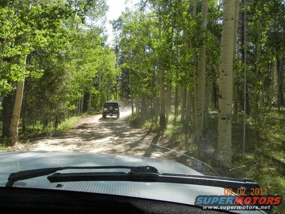 Dark SUV driving on a dirt road through a forest
