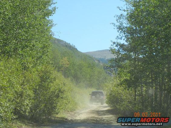 SUV kicking up dust on a dirt road through trees