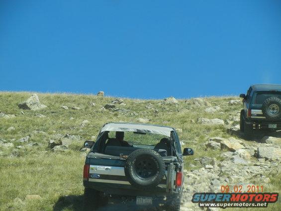 1996 Ford Bronco with spare tire on back, driving on a rocky, grassy slope under a clear blue sky. Another SUV is visible further up the hill