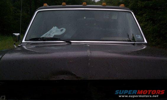 Front view of a dent in the hood due to an encounter with a tree.