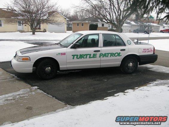 White 2003 Ford Crown Victoria with black hood and green "TURTLE PATROL" text on the side