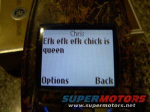Cell phone screen displaying text message 'Chris Efk efk efk chick is queen' with 'Options' and 'Back' buttons