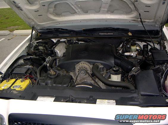 White 2003 Ford Crown Victoria engine bay with hood open, showing V8 engine, batteries, and hoses