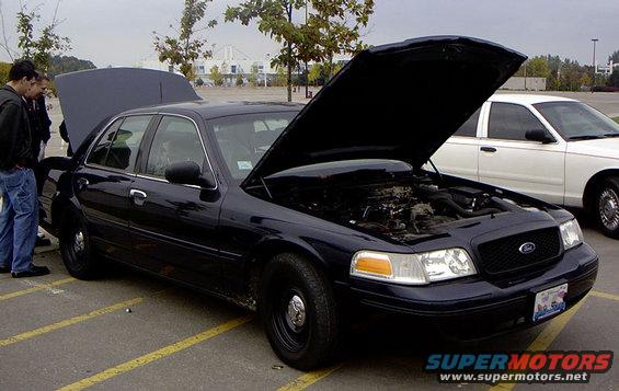 Dark blue Ford Crown Victoria with hood open, showing engine. White Crown Victoria parked behind. Two people looking at the dark blue car