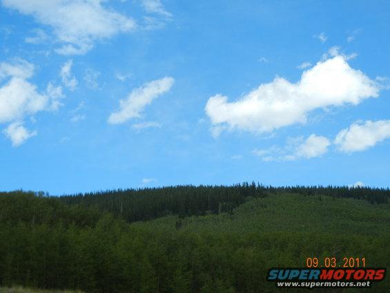 Wooded hillside under a blue sky with clouds, date stamp 09.03.2011
